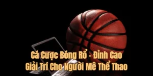 Cá Cược Bóng Rổ - Đỉnh Cao Giải Trí Cho Người Mê Thể Thao