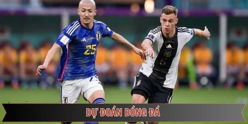 Dự Đoán Bóng Đá Độ Chuẩn Xác Cao Và Cập Nhật Mỗi Ngày